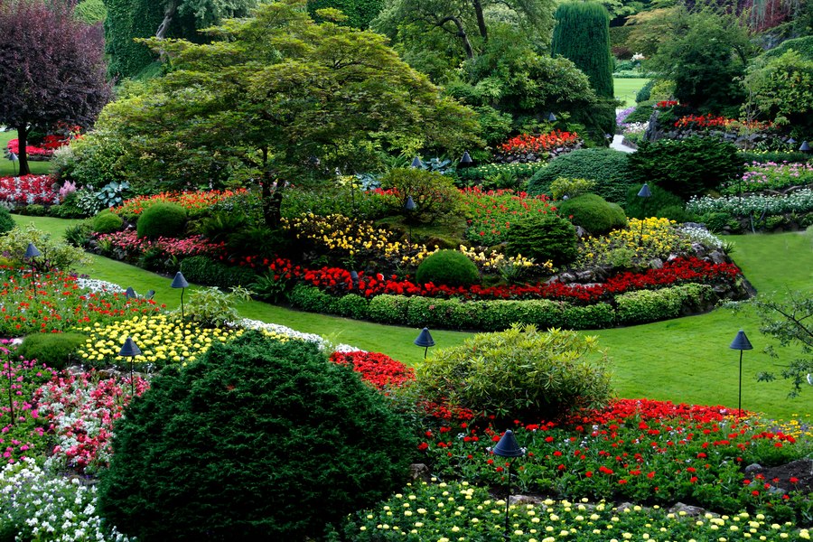 Beplanting